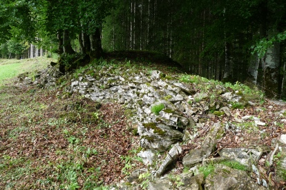 Mur recourbé du camp inférieur Nord