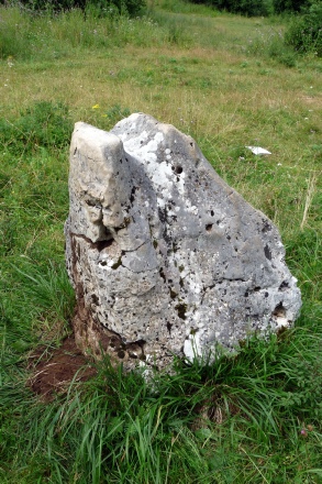 -« Le menhir du Désert », monument à écoulement, partiellement anthropomorphe.