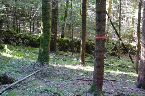 Un des nombreux murs au camp nord, semblables aux murs en pierres sèches des grands sièges romains de l'Antiquité