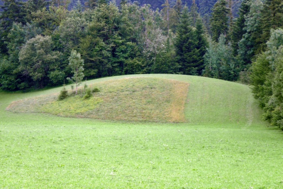  Magnifique tumulus placé en face de l’estrade dite « mur Allard »