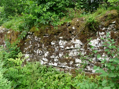 Détail d'un mur du Camp supérieur Nord